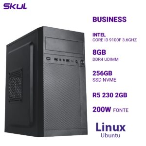 COMPUTADOR B300 CORE I3 9100F 3.6GHZ MEMÓRIA 8GB DDR4 SSD 256GB NVME R5 230 2GB FONTE 200W LINUX UBUNTU